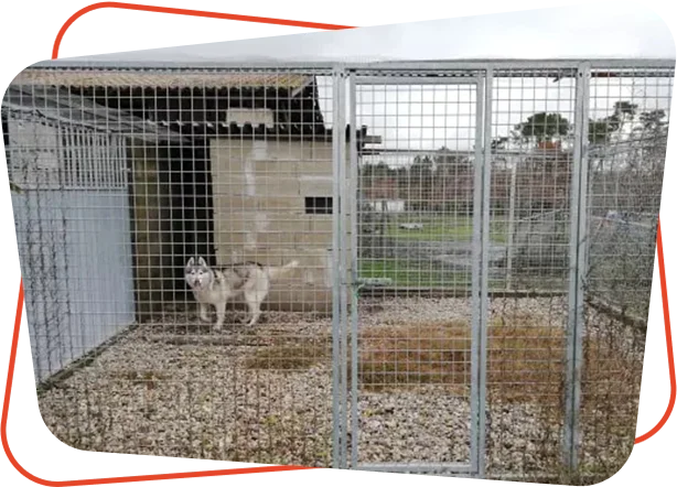 Pension canine Vendays Montalivet, Pension canine Lesparre Médoc, Pension canine Bordeaux
